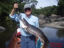 20 pound Aymara