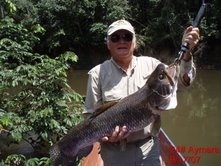 24 pound Aymara